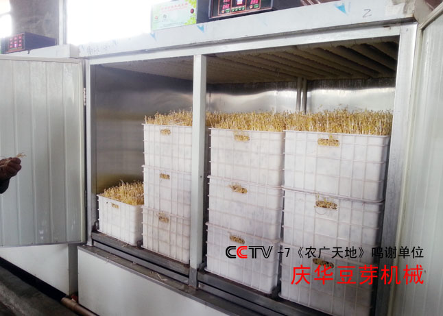 循環水豆芽機
